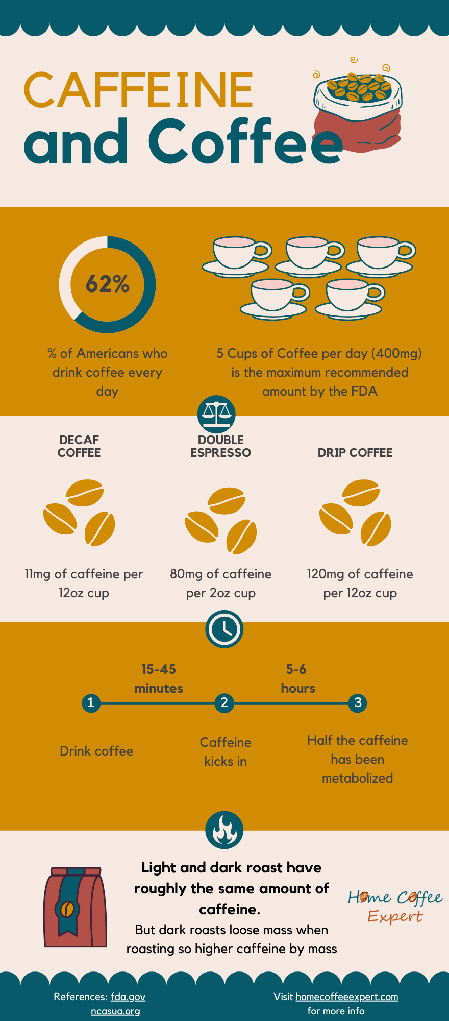 Infographic displaying the top facts about caffeine and coffee