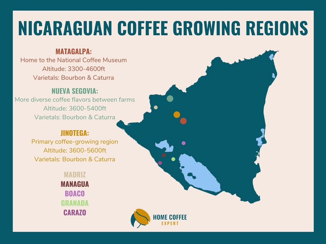 Nicaraguan Coffee: Discover Where to Buy & Why It's So Special