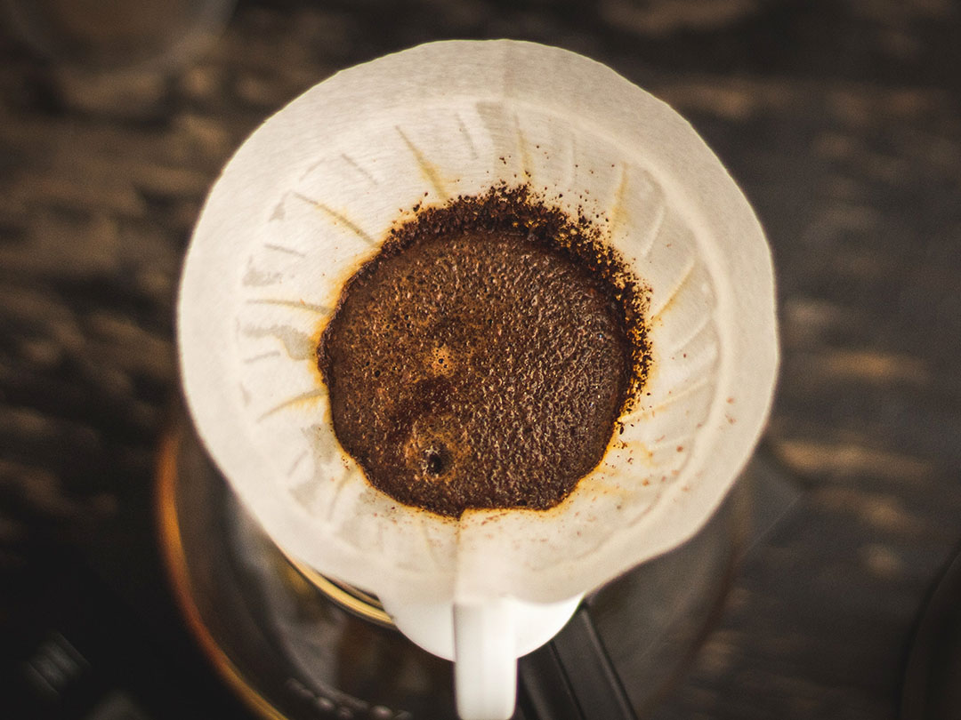 Hario V60 coffee brewer allowing the ground coffee to bloom
