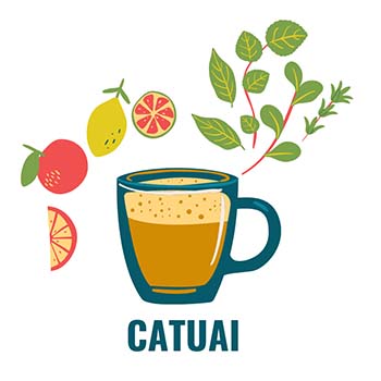 Catuai, Arabica Coffee Variety is herby and floral