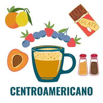 Centroamericano variety: stone fruit, sweet spice, berries, chocolate, citrus finish