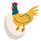 chicken and the egg icon