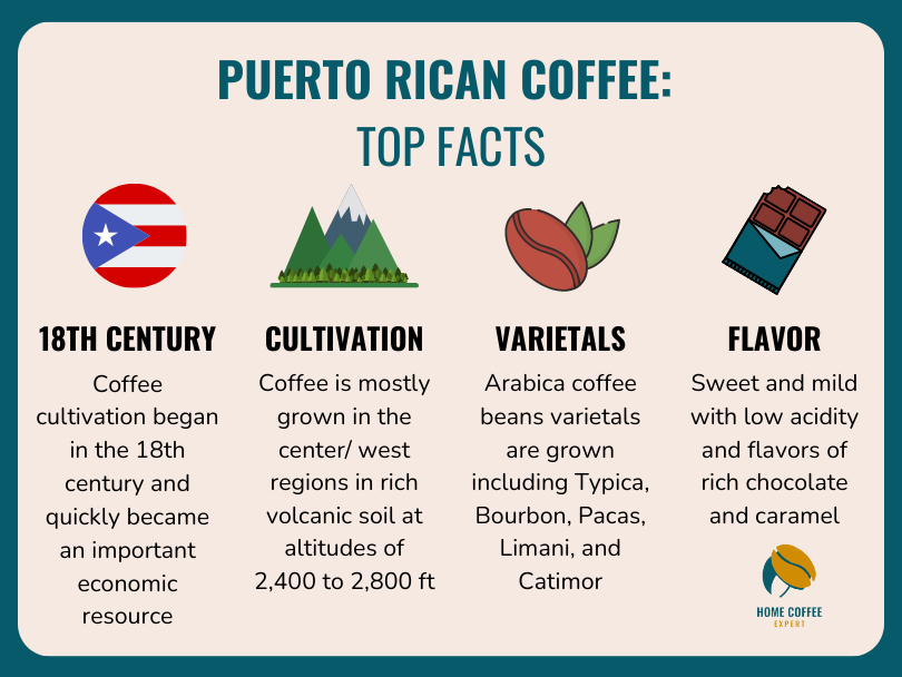 Puerto Rican Coffee: Top Facts Infographic