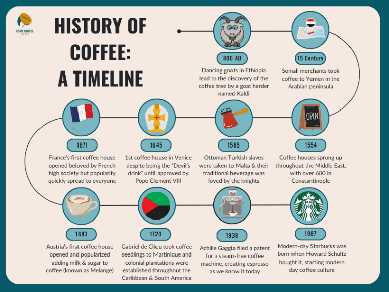 History of Coffee: How One Small Plant Took Over the World